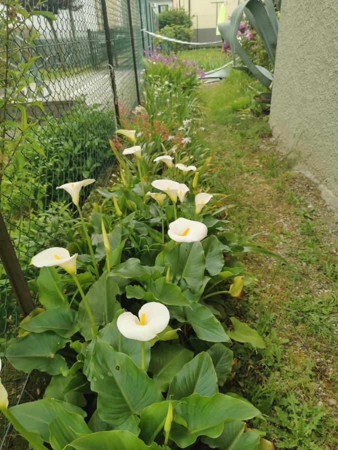 Grandma'S Garden House Villa Angera Bagian luar foto