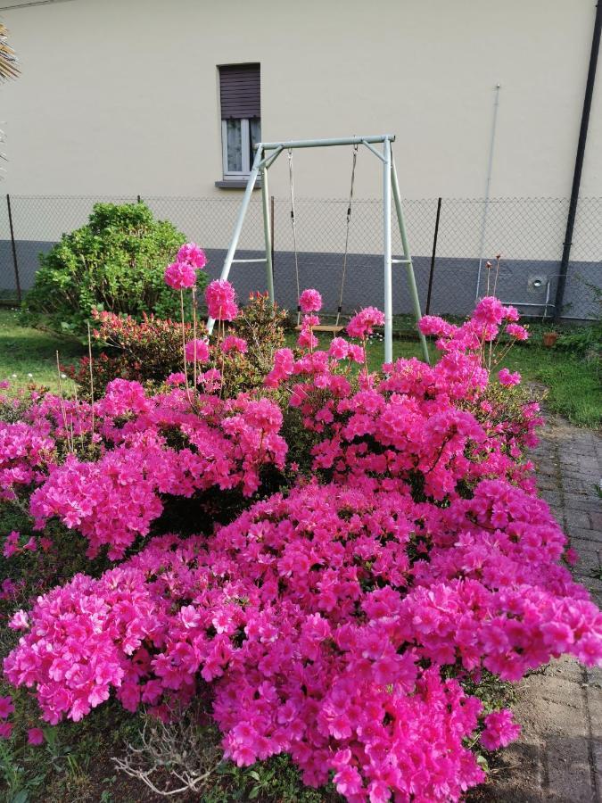 Grandma'S Garden House Villa Angera Bagian luar foto